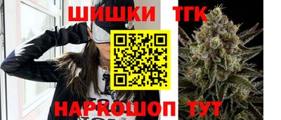 МДПВ Дубна