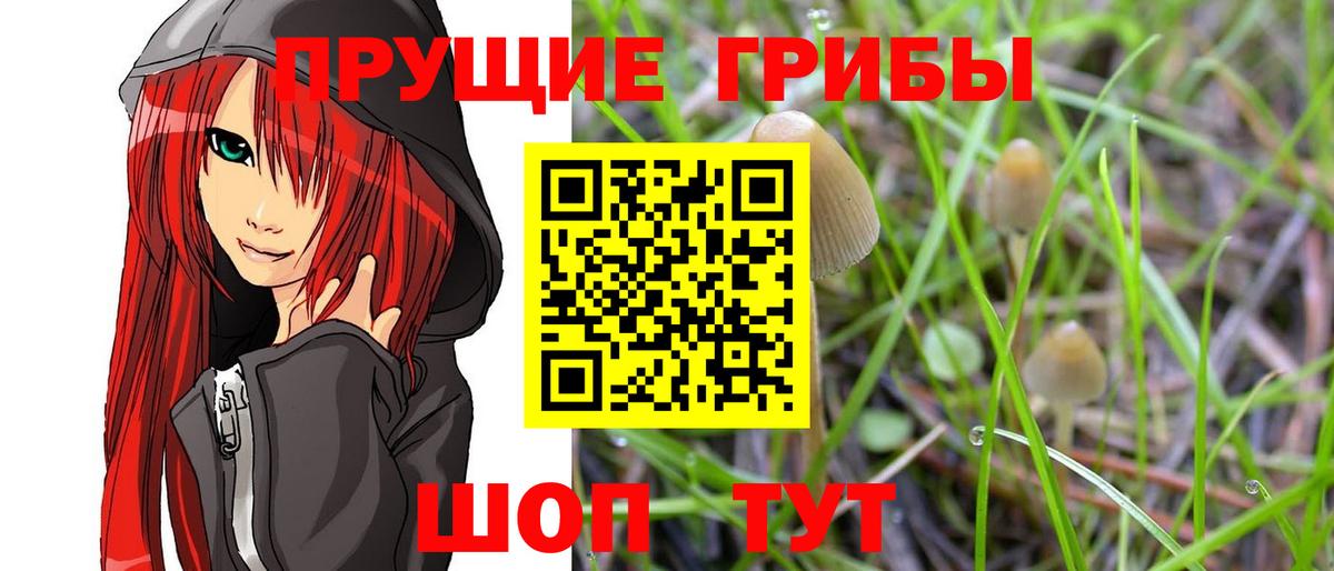 Малоярославец  купить   Вход с VPN  Псилоцибиновые грибы мухоморы 